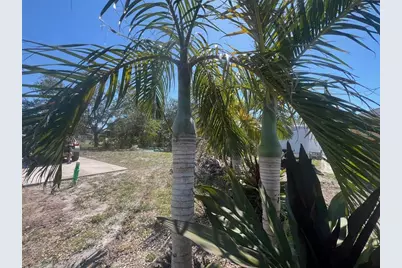 321 Ravenna Street N, Nokomis, FL 34275 - Photo 15