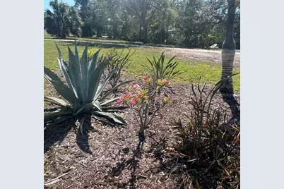 321 Ravenna Street N, Nokomis, FL 34275 - Photo 17