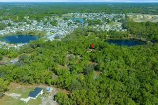 39636 Carolina Ave, Lady Lake, FL 32159 - Photo 5