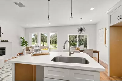 650 E Liberty Avenue, Mount Dora, FL 32757 - Photo 13