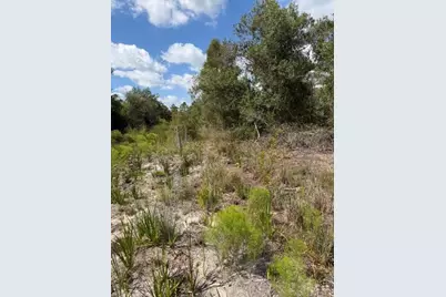 5425 Jacaranda Drive, Punta Gorda, FL 33982 - Photo 7