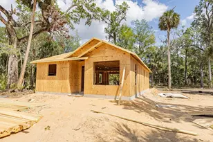 2399 Cr 423, Lake Panasoffkee, FL 33538 - Photo 3