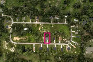 2399 Cr 423, Lake Panasoffkee, FL 33538 - Photo 19