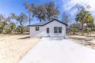 2399 Cr 423, Lake Panasoffkee, FL 33538 - Photo 1