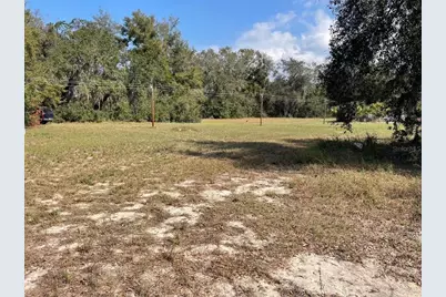 32900 Radio Road, Leesburg, FL 34788 - Photo 3