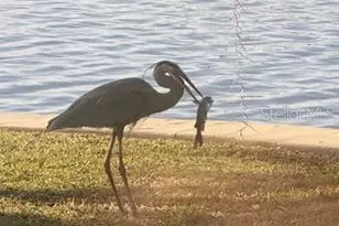 5275 S Stetson Point Dr, Homosassa, FL 34448 - Photo 51