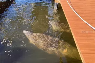 5275 S Stetson Point Dr, Homosassa, FL 34448 - Photo 49