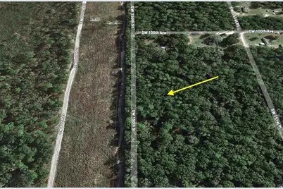Tract 29 SW 150th Street, Dunnellon, FL 34432 - Photo 5