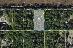 Tract 29 SW 150th St, Dunnellon, FL 34432 - Photo 1