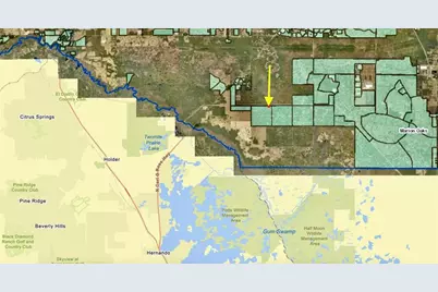 Track 28 SW 150th Street, Dunnellon, FL 34432 - Photo 7