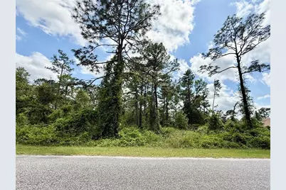 Lot 2 Quince Avenue, Eustis, FL 32736 - Photo 13