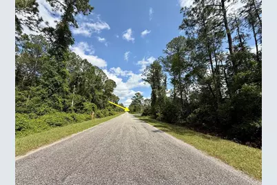 Lot 2 Quince Avenue, Eustis, FL 32736 - Photo 5