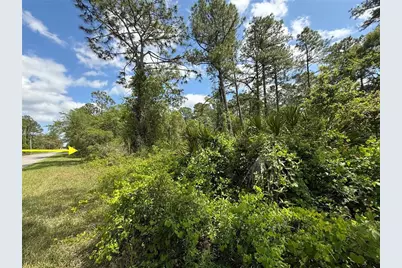 Lot 2 Quince Avenue, Eustis, FL 32736 - Photo 9
