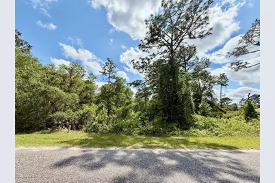 Lot 2 Quince Avenue, Eustis, FL 32736 - Photo 3