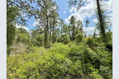 Lot 2 Quince Avenue, Eustis, FL 32736 - Photo 11