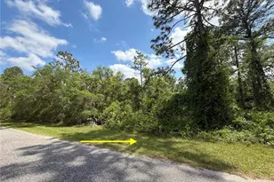 Lot 2 Quince Ave, Eustis, FL 32736 - Photo 1