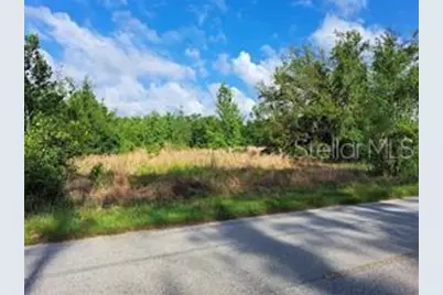 Coffee Creek Lane, Clermont, FL 34711 - Photo 19