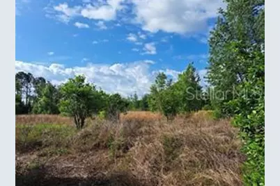 Coffee Creek Lane, Clermont, FL 34711 - Photo 13