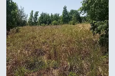 Coffee Creek Lane, Clermont, FL 34711 - Photo 23