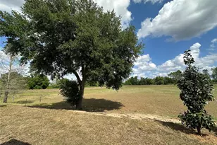 3070 Sunscape Terrace, Groveland, FL 34736 - Photo 23