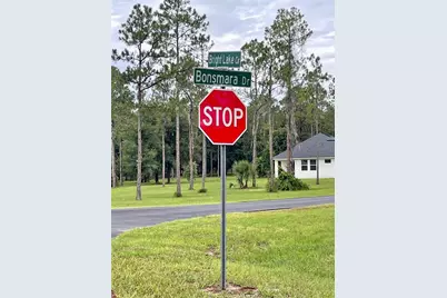 3117 Bright Lake Circle #lot 63, Groveland, FL 34736 - Photo 19