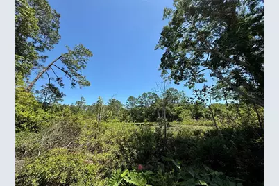 43740 Sunset Drive, Paisley, FL 32767 - Photo 27