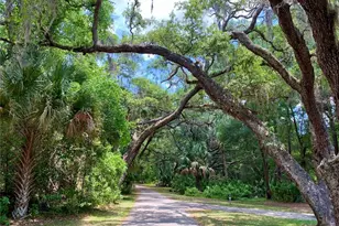 43740 Sunset Dr, Paisley, FL 32767 - Photo 33