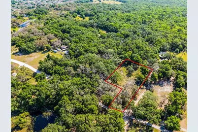 3633 Panther Path Road, Lutz, FL 33559 - Photo 17