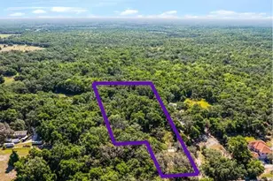 3633 Panther Path Rd, Lutz, FL 33559 - Photo 1