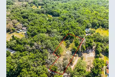 3633 Panther Path Road, Lutz, FL 33559 - Photo 23