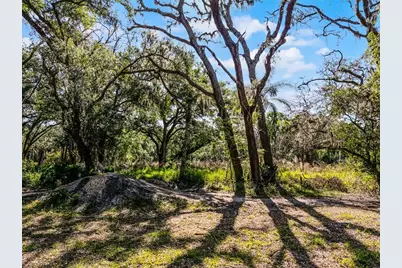 3633 Panther Path Road, Lutz, FL 33559 - Photo 7