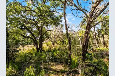 3633 Panther Path Road, Lutz, FL 33559 - Photo 11