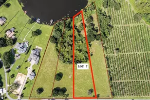 17937 County Rd 448, Mount Dora, FL 32757 - Photo 1