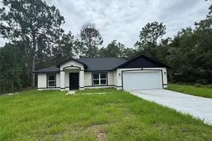 12 Guava Ter Radial, Ocklawaha, FL 32179 - Photo 1