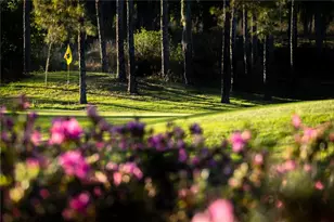 26207 Avenida Las Colinas, Howey in the Hills, FL 34737 - Photo 29