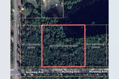 Nutmeg Avenue, Eustis, FL 32736 - Photo 1