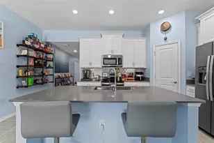 5354 Travertine St, Mount Dora, FL 32757 - Photo 7