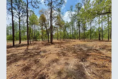 Sw Deerpark Heights Road, Dunnellon, FL 34431 - Photo 5