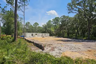 30551 Saffron Ave, Eustis, FL 32736 - Photo 15