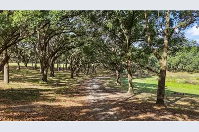 27011 SE Highway 42, Umatilla, FL 32784 - Photo 33