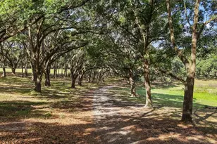 27011 SE Hwy 42, Umatilla, FL 32784 - Photo 33