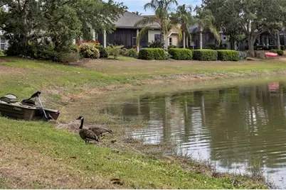 8167 Bridgeport Bay Circle, Mount Dora, FL 32757 - Photo 37