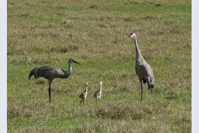 9413 SE 49th Terrace, Webster, FL 33597 - Photo 35