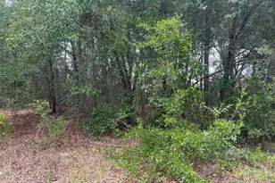 NW 17th St, Ocala, FL 34482 - Photo 1