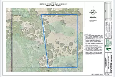 Tbd Cr 772B, Webster, FL 33597 - Photo 3