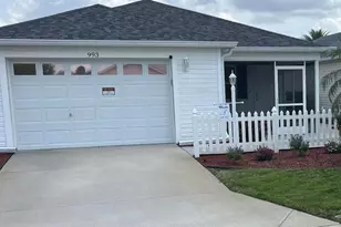 993 Davit Pl, The Villages, FL 32162 - Photo 1