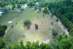 37149 Grays Airport, Lady Lake, FL 32159 - Photo 35