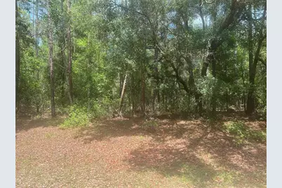 8729 N Wallingford Avenue, Dunnellon, FL 34434 - Photo 1