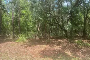 8729 N Wallingford Ave, Dunnellon, FL 34434 - Photo 1