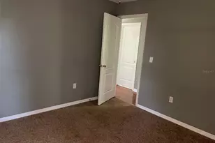 825 Mary Frank Ct, Mount Dora, FL 32757 - Photo 15